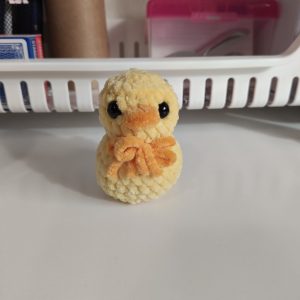 Duck